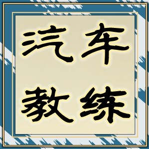 安省政府注册汽车 驾驶金牌教练 路考一次通过率极高!